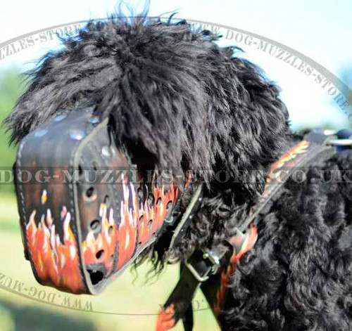 Black Russian Terrier Dog Muzzle for Service Dog - Click Image to Close