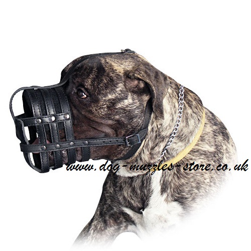 Soft Bullmastiff Muzzles UK Made of Leather - Click Image to Close