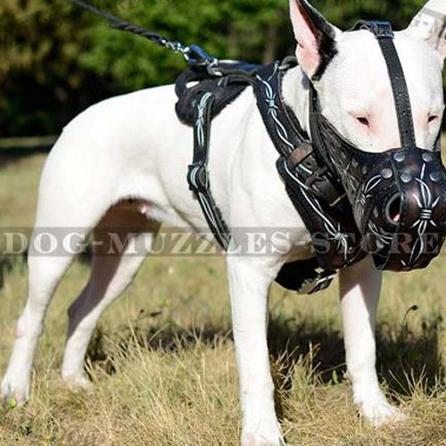 Police Dog Training Muzzle | English Bull Terrier Muzzle UK - Click Image to Close