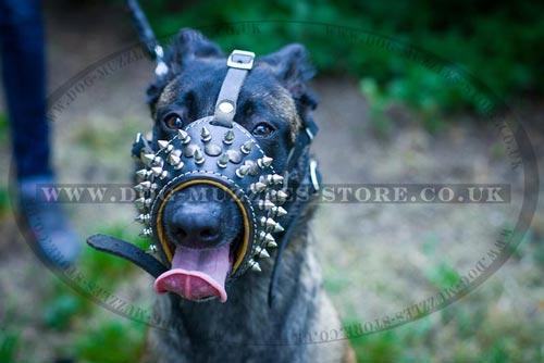 Spiked Dog Muzzle with Soft Nappa Lining for Belgian Malinois