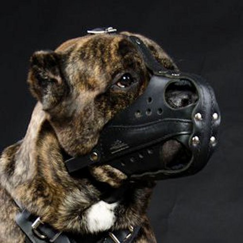 Police Dog Muzzle for Cane Corso and Large Dog Training - Click Image to Close