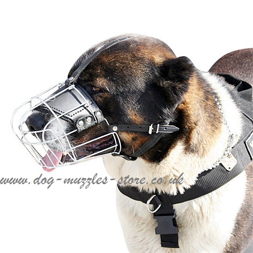 Buy Caucasian Shepherd Dogs Muzzles Individual Basket Form! - Click Image to Close