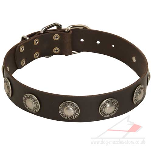 Large Dog Collar Leather with Studs Perfect for Mastiffs - Click Image to Close