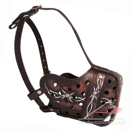 Large Dog Muzzle for Training with Original Hand-Painting - Click Image to Close