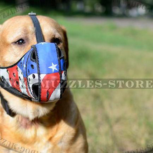 Labrador Dog Muzzle of Special Construction "American Style"