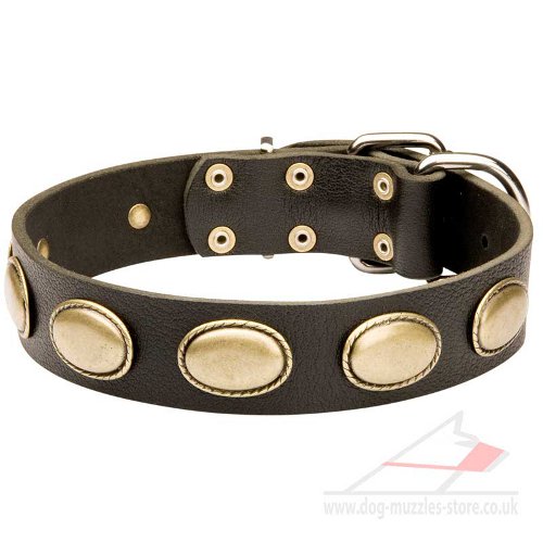 Fashion Dog Collar | Studded Designer Dog Collar - Click Image to Close