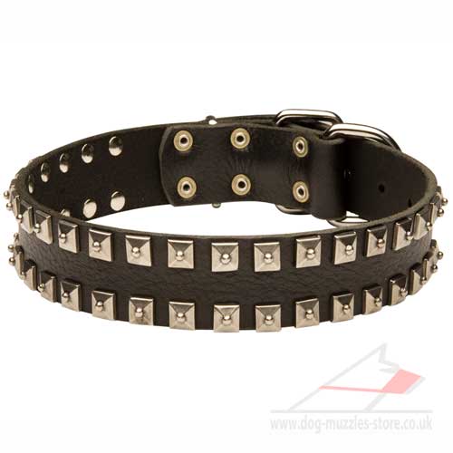 Dog Leather Collar with 2 Rows of Studs - Click Image to Close