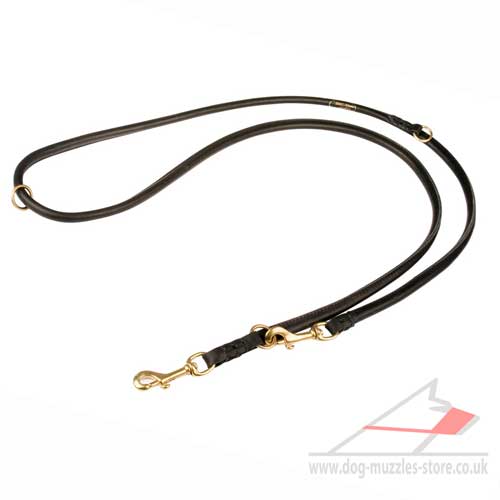 Re-Fastening Dog Lead