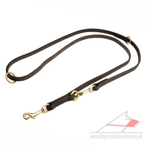 Leather Dog Lead with 2 Snap Hooks - Multifunctional Device - Click Image to Close