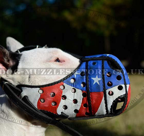 Dog Muzzle for Bull Terrier with Handpainting "American Pride" - Click Image to Close