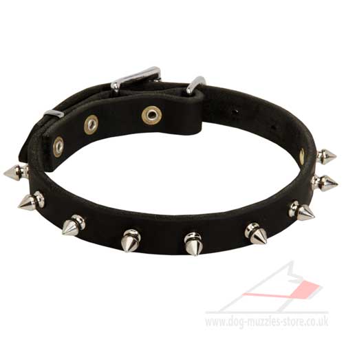 Exotic Spiked Leather Dog Collar - Click Image to Close