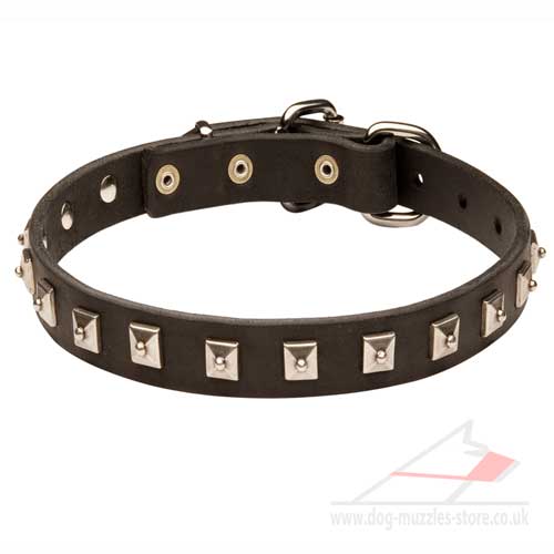 Black Leather Dog Collar UK