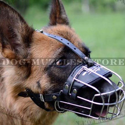 GSD Training Dog Muzzle Wire Basket - Click Image to Close