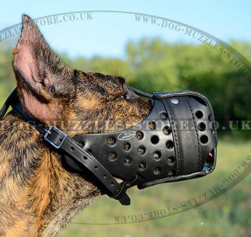 Great Dane Training Muzzle for K9 Dogs | Large Dog Muzzle - Click Image to Close