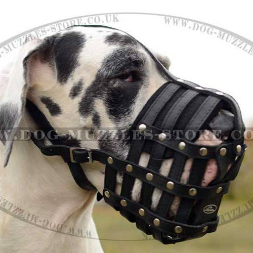 Great Dane Muzzle for Dog Walking | Leather Dog Muzzle - Click Image to Close