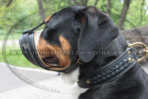 Loop-Like Soft Dog Muzzle to Stop Barking for Sennenhund