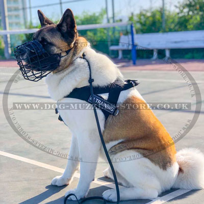 Japanese Akita Dog Harness No Pull Front Clip Best Seller