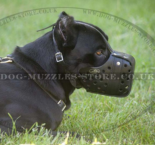 Cane Corsos K9 Dogs Muzzle for Military Service and Police Dogs - Click Image to Close