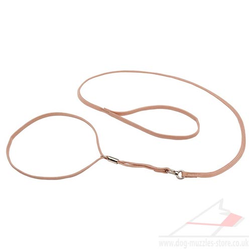 Tan Nylon Dog Collar and Leash 2 in 1 for a Dog Show - Click Image to Close
