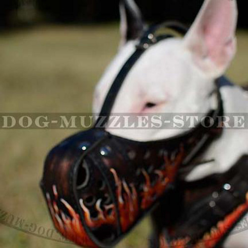 Bull Terrier Dog Training Muzzle | English Bull Terrier Muzzle - Click Image to Close