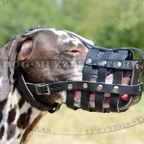 Leather Dog Muzzle for Dalmatian | Dalmatian Muzzle Bestseller - Click Image to Close