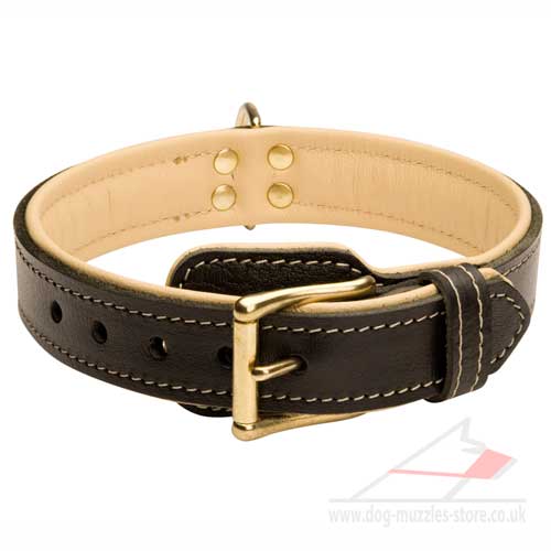 Soft Leather Dog Collar | Luxury Dog Collar - Click Image to Close