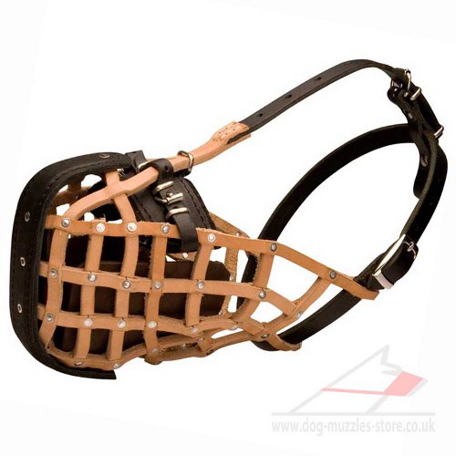 Ultimate Supreme Attack / Agitation Training Dog Muzzle