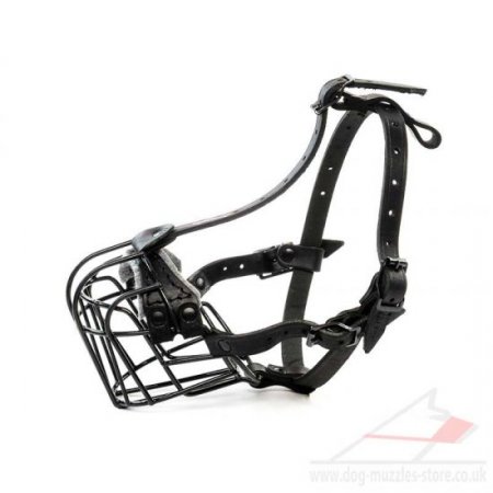Black French Bulldog Basket Muzzle for Flat Faced Dogs