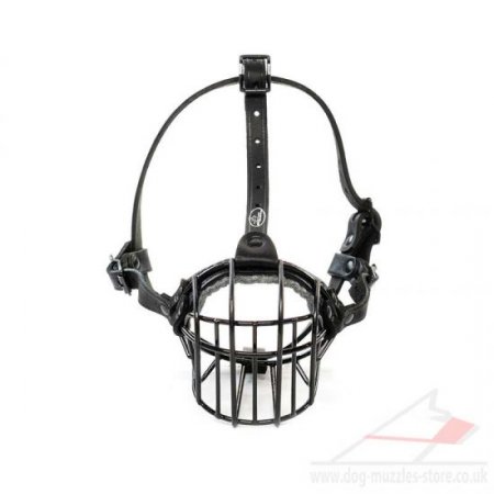 Black French Bulldog Basket Muzzle for Flat Faced Dogs