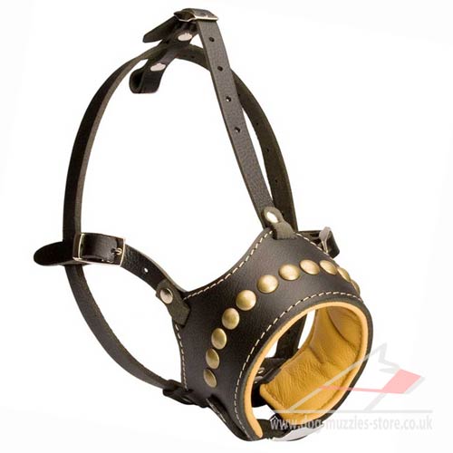 Best Leather Dog Muzzle with New Studded Design - Click Image to Close