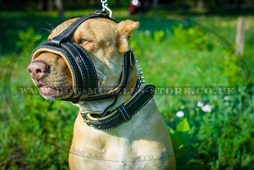 Soft No Bark Dog Muzzle for Pit Bull Terrier