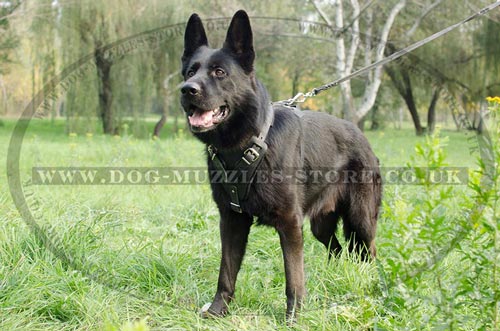 German Shepherd Padded Dog Harness for K-9 Dogs