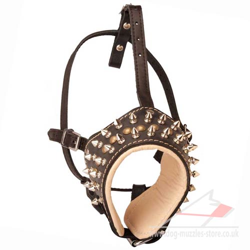 Leather Dog Muzzle of Special Design | Soft Dog Muzzle - Click Image to Close