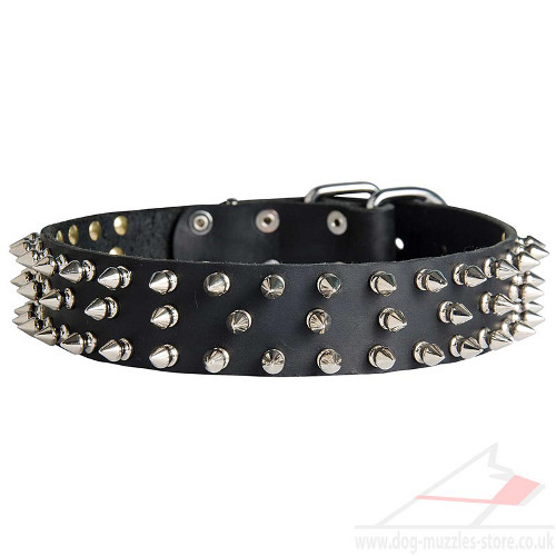 Brass Spiked Dog Leather Collar