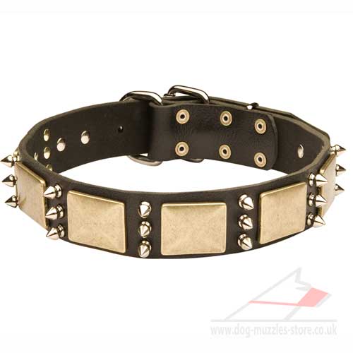 Designer Leather Dog Collar With Brass Plates and Nickel Spikes - Click Image to Close