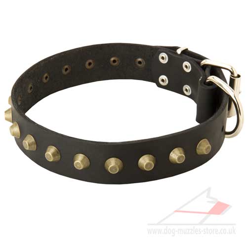 Handmade Dog Collar with Brass Studs - Click Image to Close