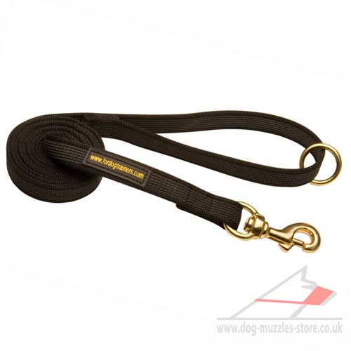 Walking Dog Leash With Rubberized Stitching- Anti-Glide - Click Image to Close