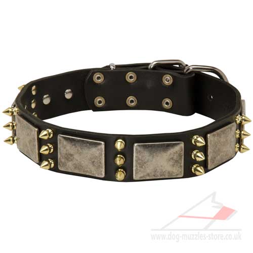 War Dog Collar with Luxury Decoration - Click Image to Close