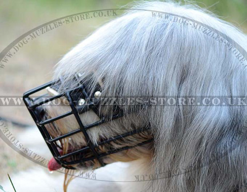 Dog Basket Muzzle With Rubberized Wire For Any-Weather Use - Click Image to Close