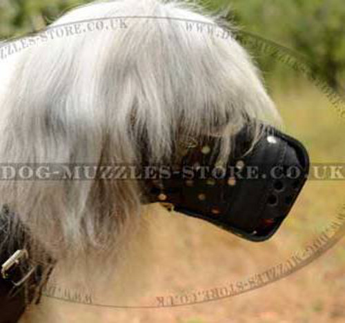 Basket Muzzle for Large Dogs | South Russian Shepherd Dog Muzzle - Click Image to Close