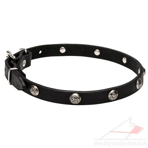 Beautiful Dog Leather Collar with Flowery Studs "Lucky"