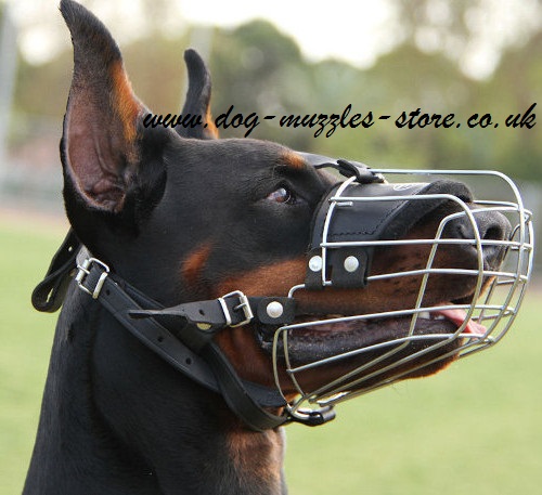 Doberman Muzzles for Dogs Comfort and Safety NEW - Click Image to Close