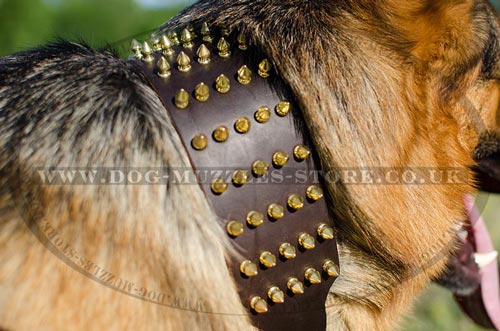 Extra Stylish Warrior Dog Collar with Spikes for German Shepherd - Click Image to Close