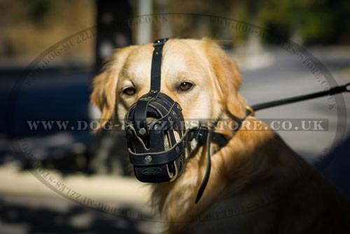 Light, Soft and Super Ventilated Dog Muzzle for Golden Retriever