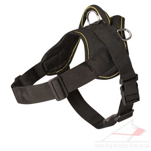 The Best Nylon Dog Harness with Handle for Small/Large Dogs - Click Image to Close