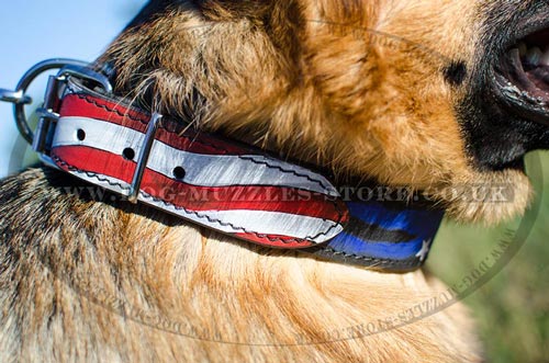 Hand-Painted Dog Collar US Straps and Stars