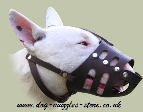 English Bull Terrier Muzzles UK Lightweight Leather Basket - Click Image to Close