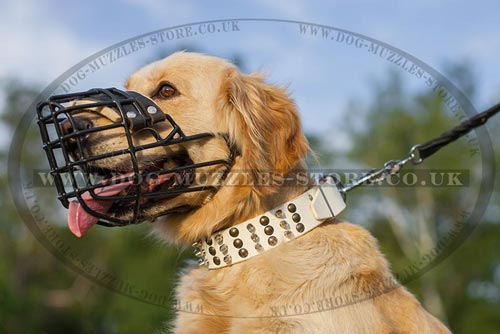 Rubber-Coated Wire Basket Dog Muzzle Size for Golden Retriever - Click Image to Close
