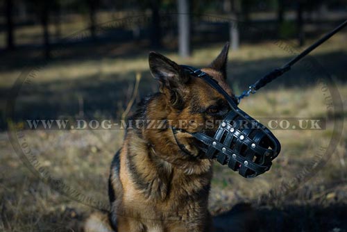 Soft and Strong German Shepherd Muzzle Leather Basket - Click Image to Close