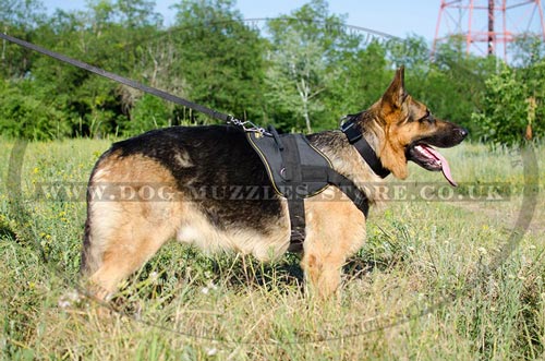 Durable Nylon Dog Harness for German Shepherd Training